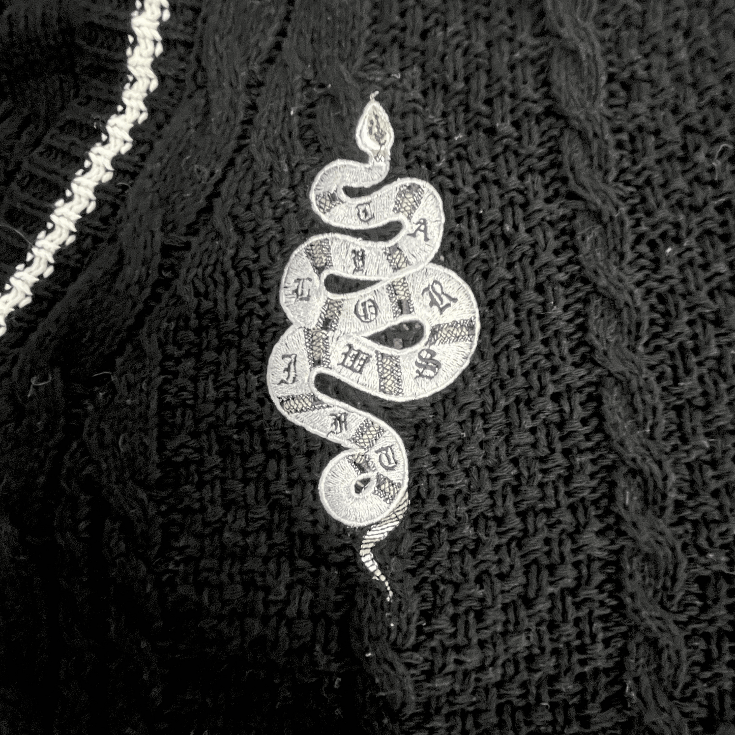 Black Rep Cardigan Snake Embroidered, Eras Tour Outfit