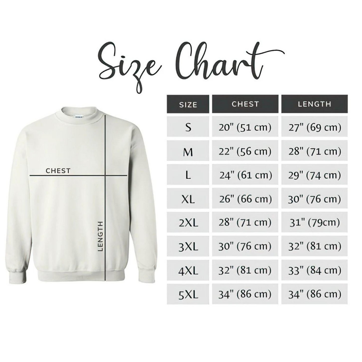 1989 Sweatshirt Taylors Version Embroidered Crewneck